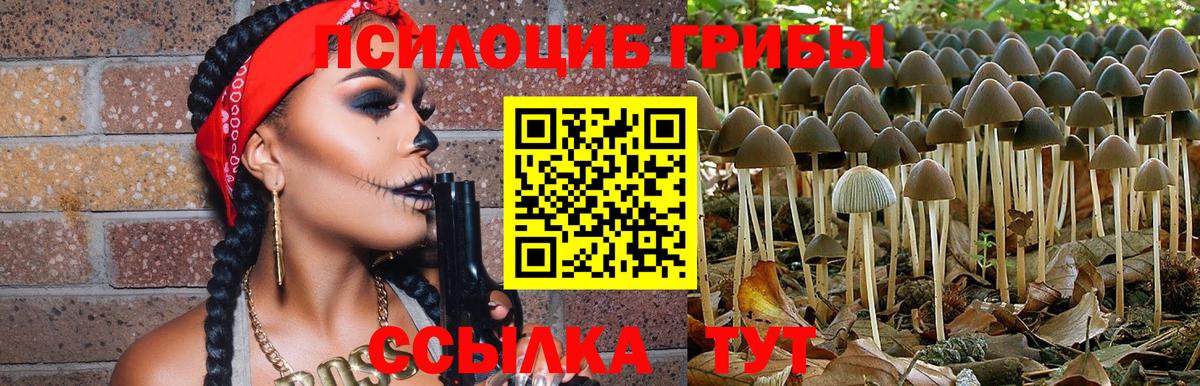 Урюпинск  Псилоцибиновые грибы ЛСД  Псилоцибиновые грибы MAGIC MUSHROOMS  Вход с VPN 